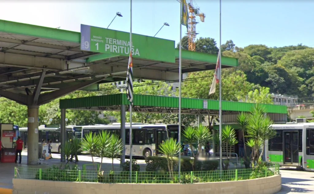Dedetização em Pirituba para residências, condomínios e comércios